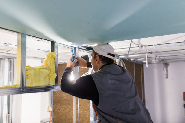 Insulation Inspection Services in Howey In The Hills, FL