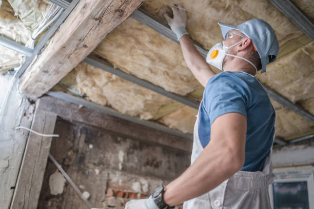 Best Commercial Insulation Contractor  in Howey In The Hills, FL