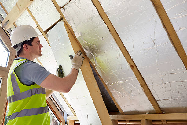 Best Spray Foam Insulation  in Howey In The Hills, FL