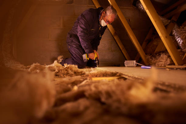 Best Energy-efficient Insulation  in Howey In The Hills, FL